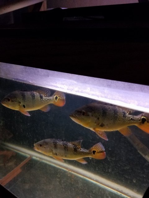20170927_151814.jpg