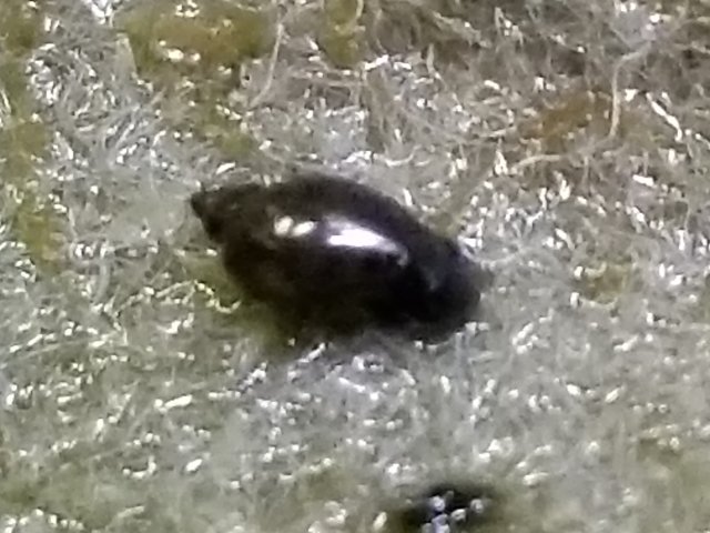 20171010_183905.jpg