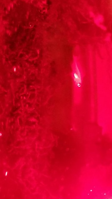20171010_185621.jpg