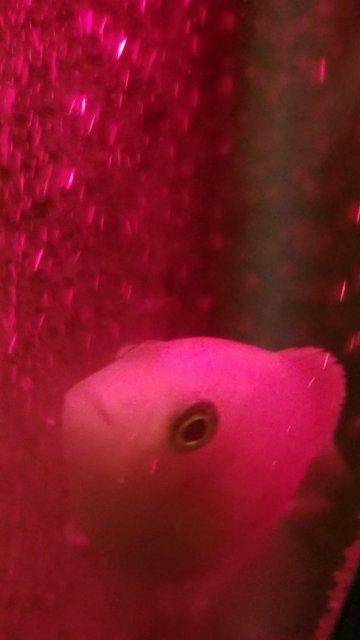 20171010_185644.jpg