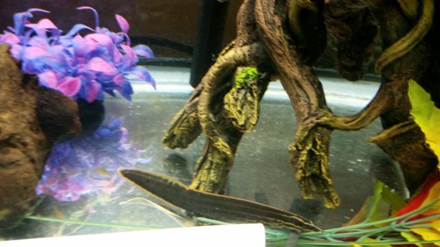 20171011_214948.jpg