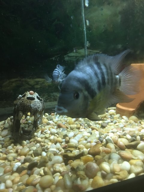 IMG_2657.JPG IMG_2657.JPG