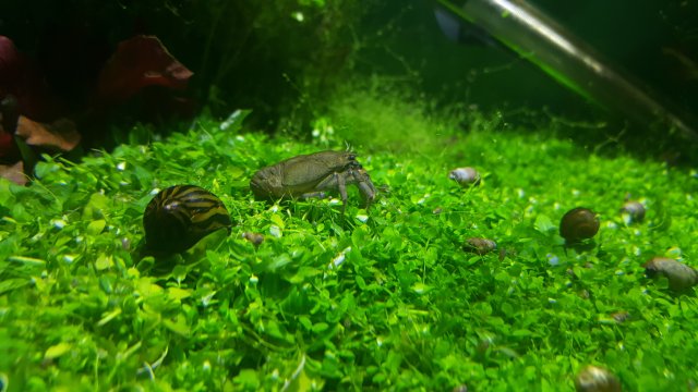 20171013_224326.jpg