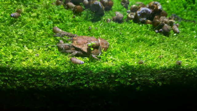 20171010_054914.jpg