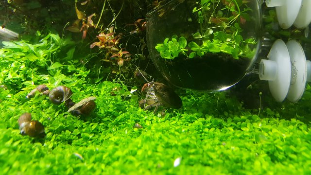 20171014_112435.jpg