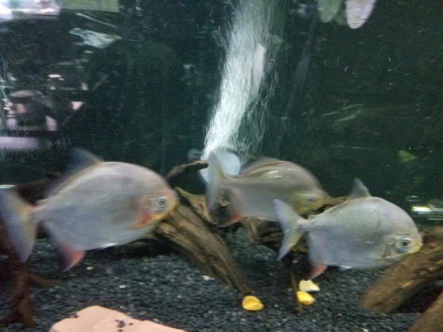 20171014_174955.jpg 20171014_174955.jpg