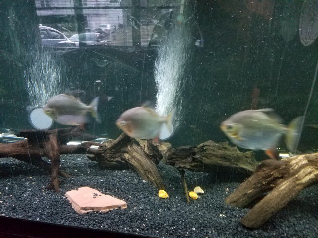 20171014_181443.jpg