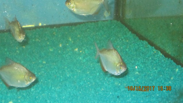 IMG_2566.JPG