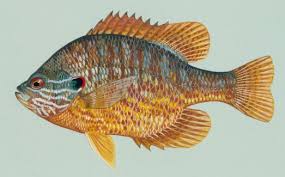 upload_2017-10-17_21-58-31.jpeg upload_2017-10-17_21-58-31.jpeg