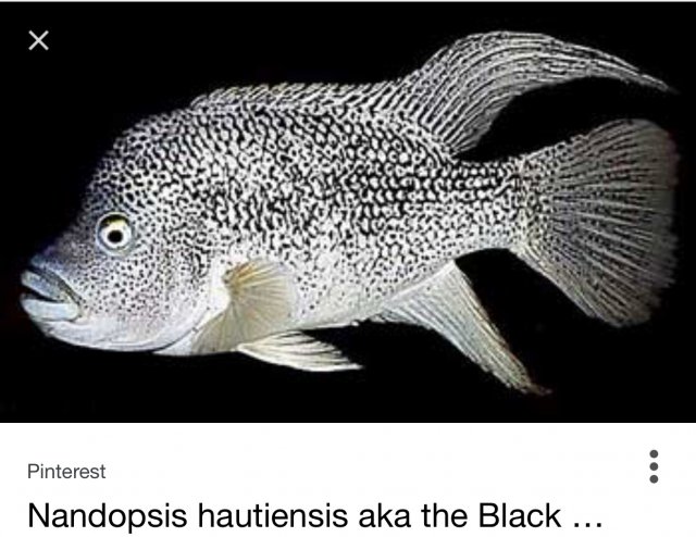 TMA: Thu Oct 19 2017 19:41:59 GMT-0400 (EDT).jpg