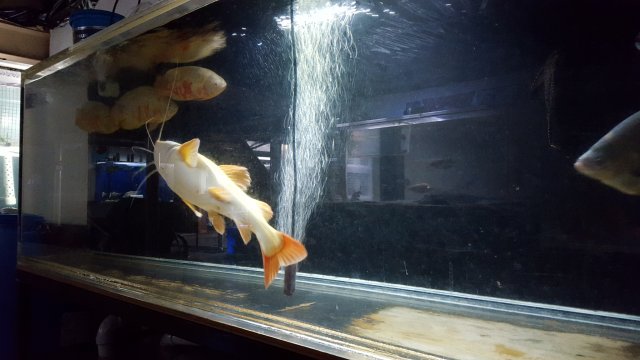 20171019_225534.jpg