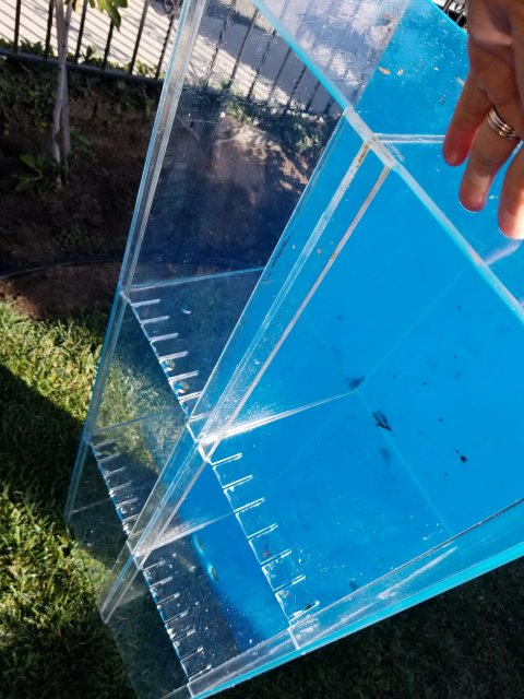 20171020_151436.jpg 20171020_151436.jpg