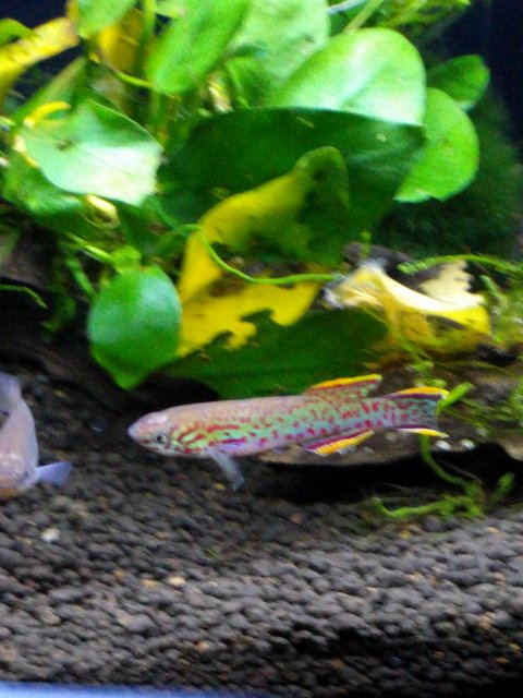 IMG_20171010_001547.jpg
