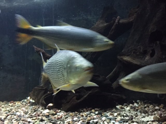 image1.JPG
