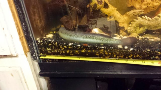 20141030_203534.jpg