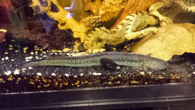 20140922_202053.jpg