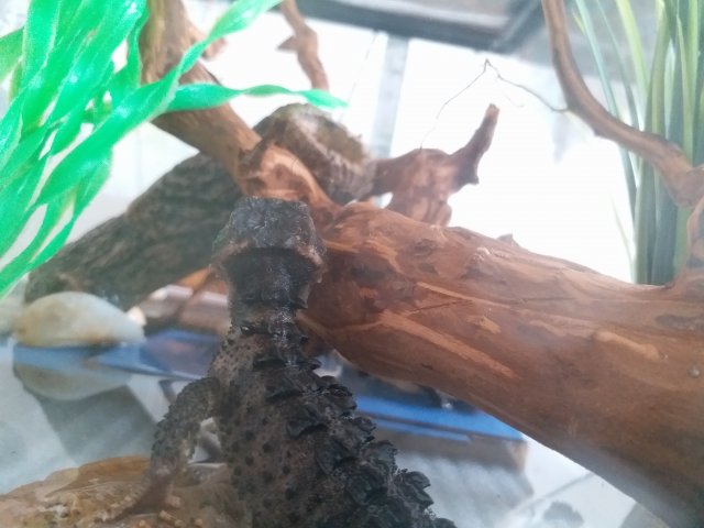 20171022_105209.jpg 20171022_105209.jpg
