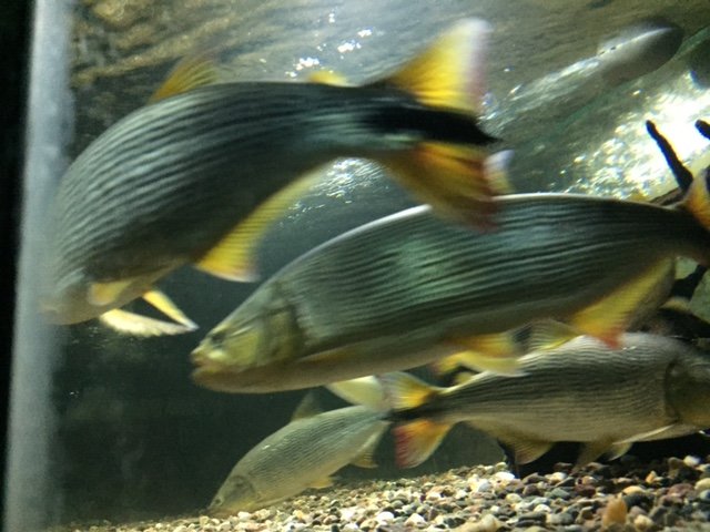image2.JPG