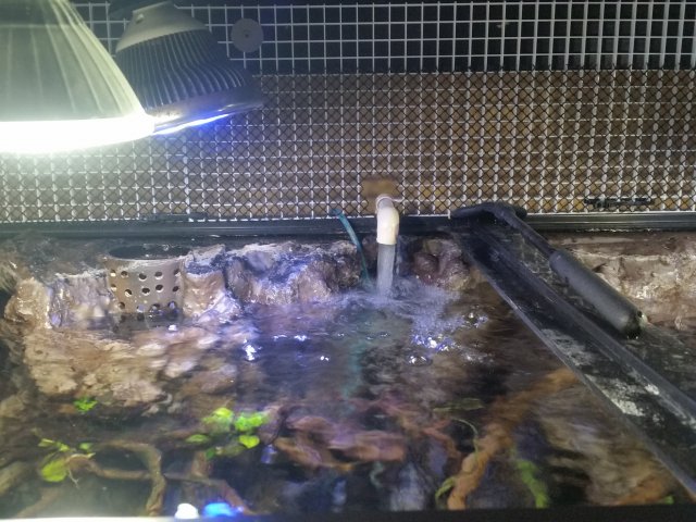 20171023_001344.jpg