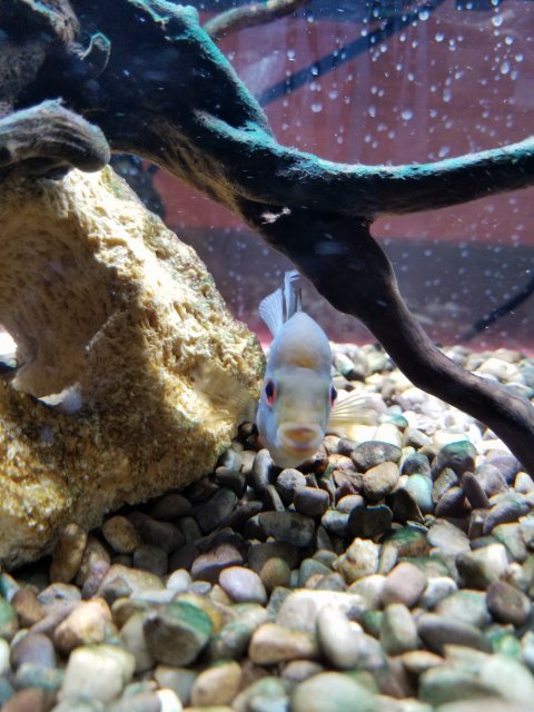 20171020_113548.jpg
