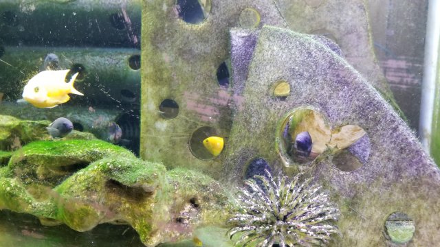 20171023_054658.jpg