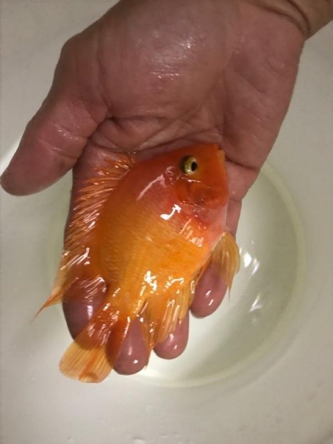 image.jpeg