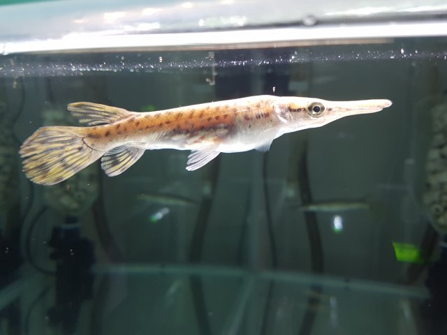 20171024_204339.jpg