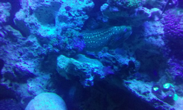 20171024_062842.jpg