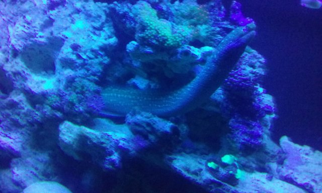 20171024_062851.jpg