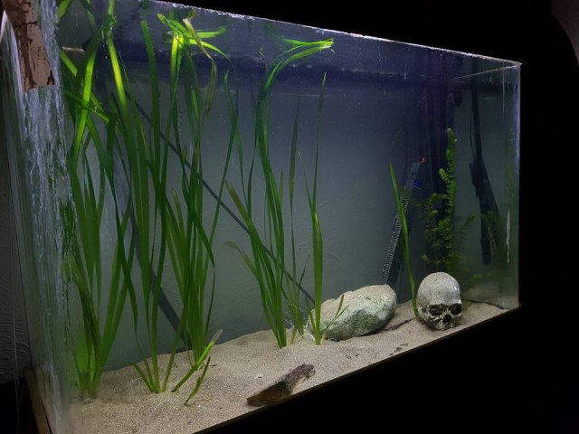 22540129_10214560231825082_6216107246625544770_n-1.jpg 22540129_10214560231825082_6216107246625544770_n-1.jpg