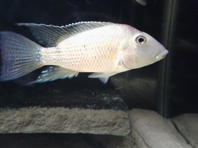 20171024_222007.jpg