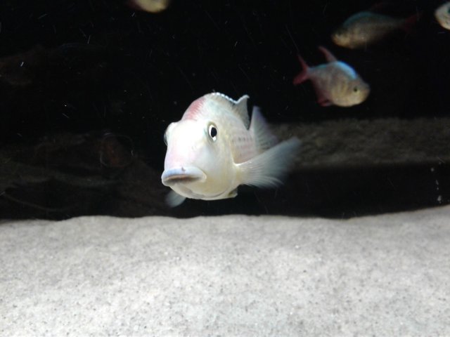 20171024_221619.jpg