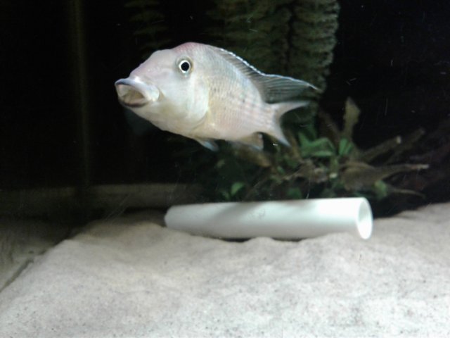 20171024_214452.jpg