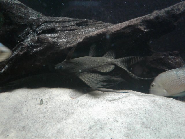 20171023_224636.jpg