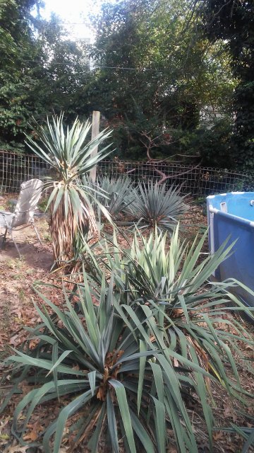 20171026_103005.jpg
