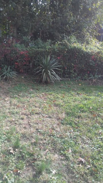 20171026_103105.jpg