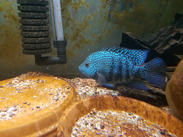20171028_171357.jpg