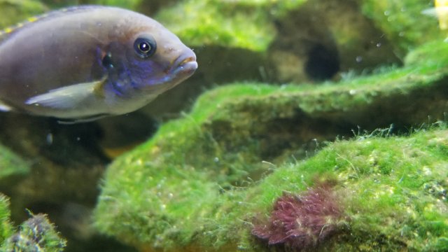 20171028_175812.jpg