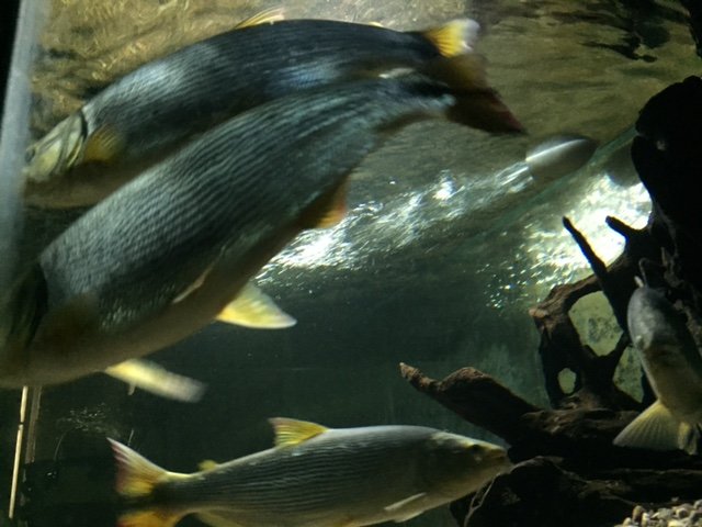 image2.JPG