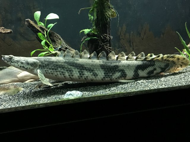 image.jpeg image.jpeg