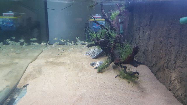 20171031_123700.jpg