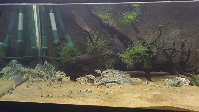 20171031_123640.jpg