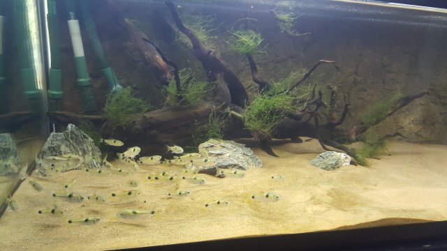 20171031_123727.jpg