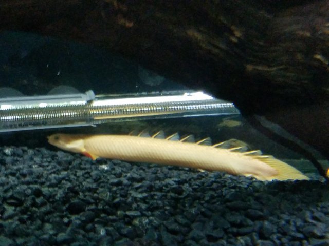 20171101_133834.jpg