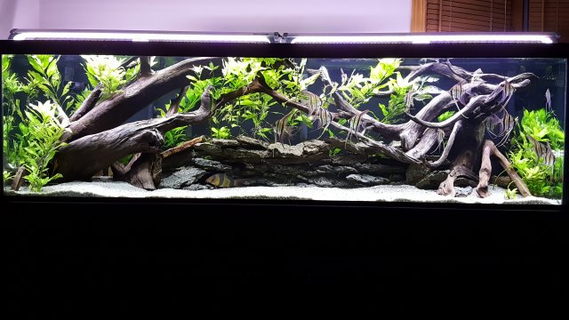 20171030_200226.jpg