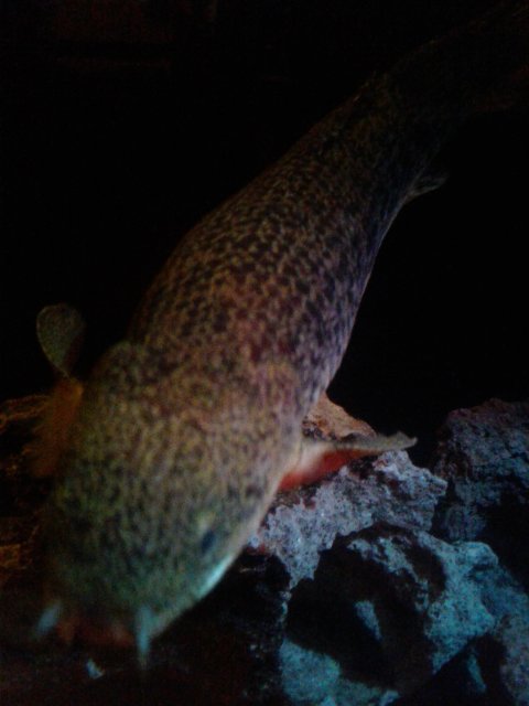 20171102_001406.jpg