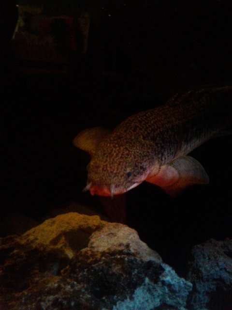 20171102_001404.jpg