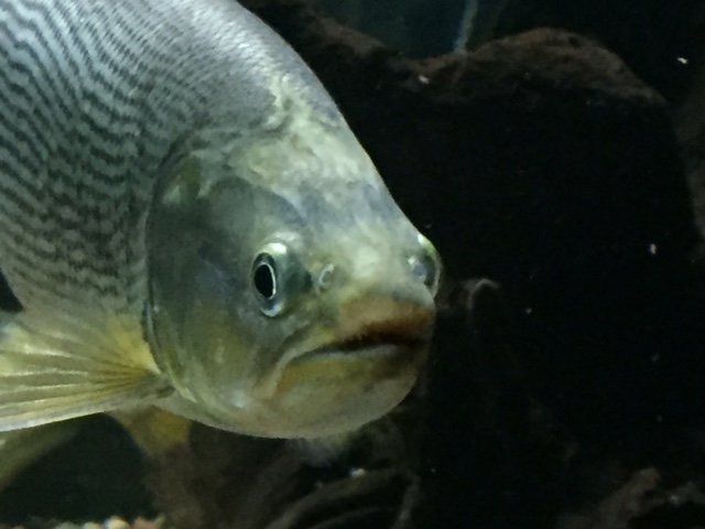 image2.JPG