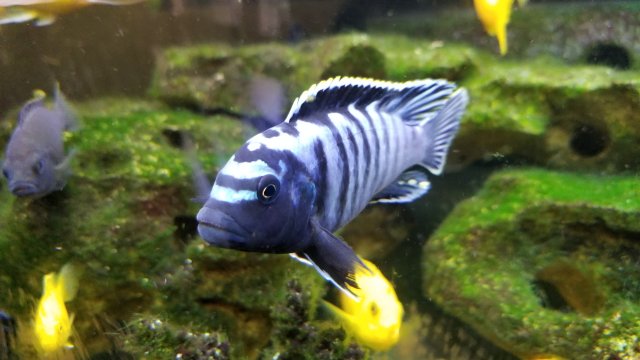 20171031_185950.jpg