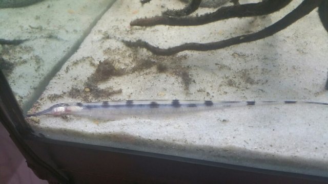 image1.jpeg